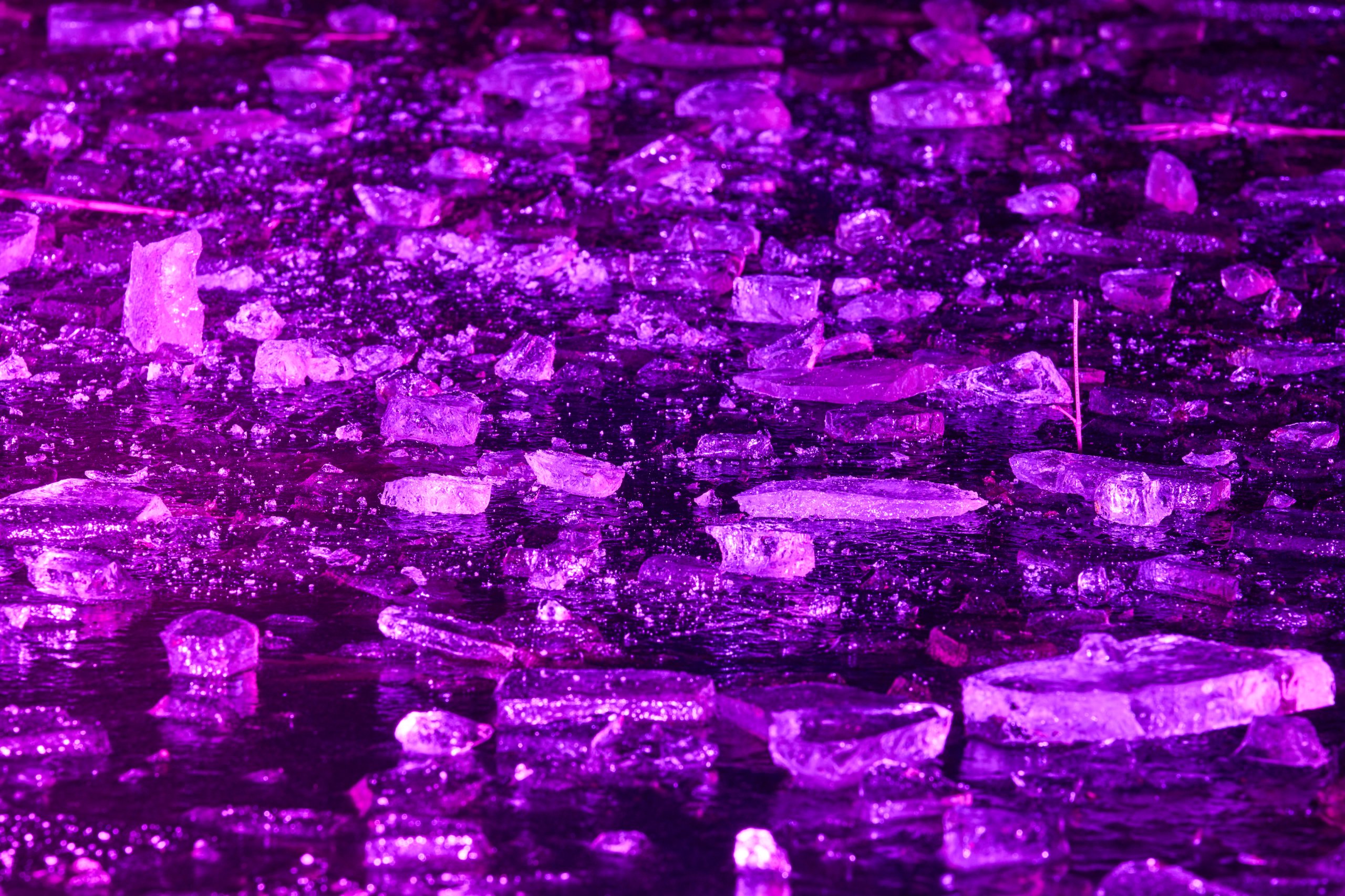 2025 02 04 Parkleuchten 0251